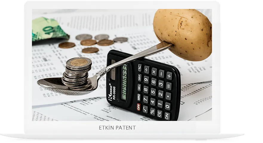 finansal davranışlara dair kombinasyon modeller-mamak patent